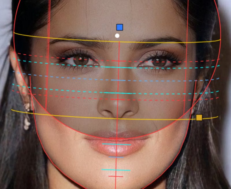 Dot lines on: the brow→nose divisions as rings around the head.
